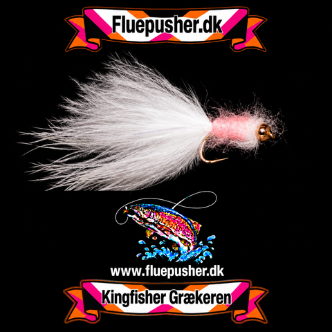 Salmon Græker