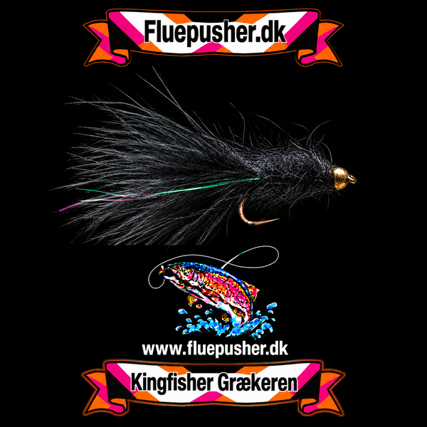 Sort Græker long flash tail – Kingfisher Grækeren