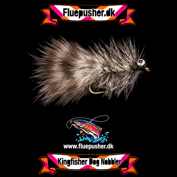Grizzly Dog Nobbler på Kingfisher-baggrund