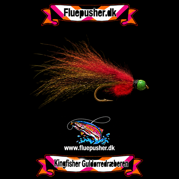 Guldørredræberen på Kingfisher-baggrund
