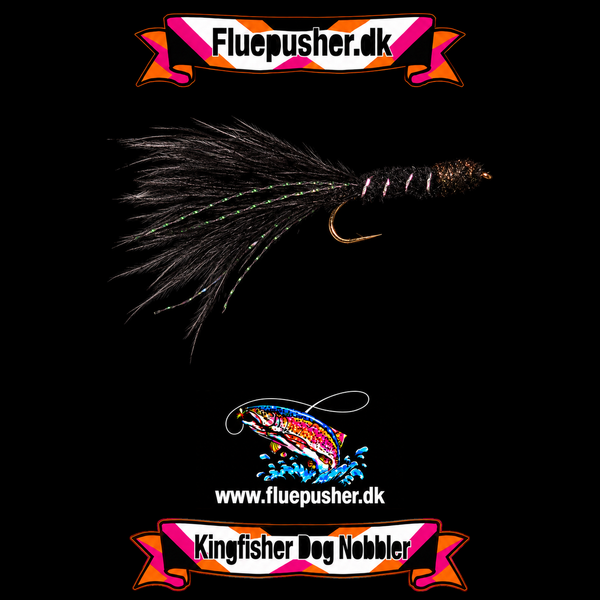 Light black dog nobbler på Kingfisher-baggrund