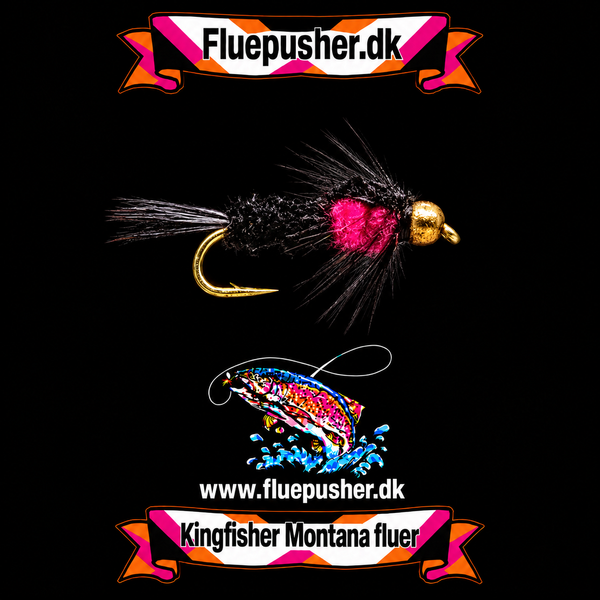 Kingfisher Montana fluer — Pink Montana