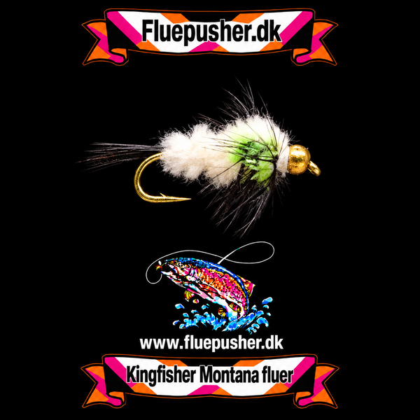 Kingfisher Montana fluer — Chartreuse hvid montana gh