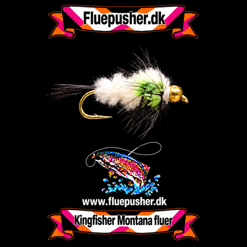 Chartreuse hvid montana gh