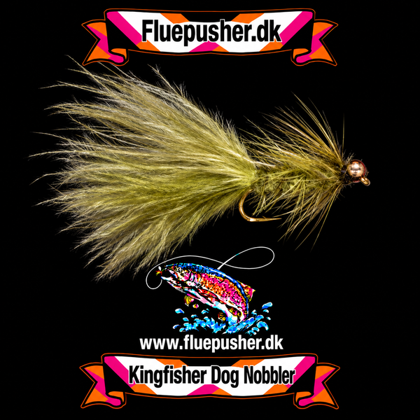 Oliven dog nobbler på Kingfisher-baggrund