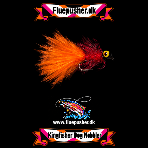 Orange tail red dog nobbler på Kingfisher-baggrund