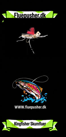 A. Schaum 23