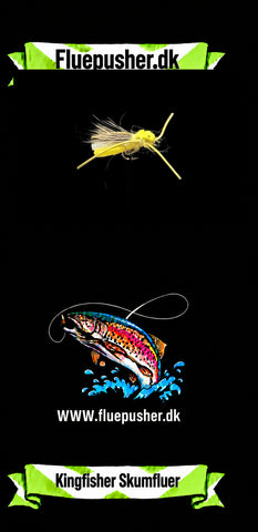 A. Schaum 24