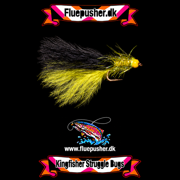 Yellow but pearl bug på Kingfisher-baggrund