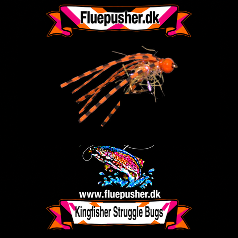 Orange sili legs struggle bug