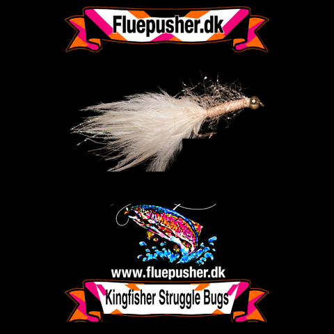Coral struggler bug