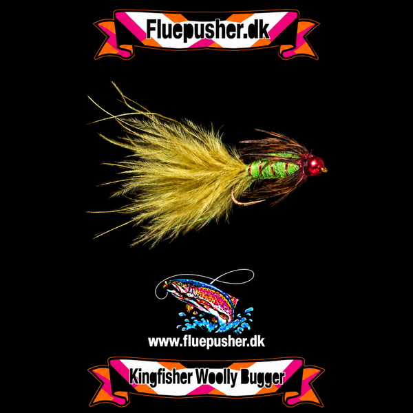 Ribbed olive woollybugger på Kingfisher-baggrund