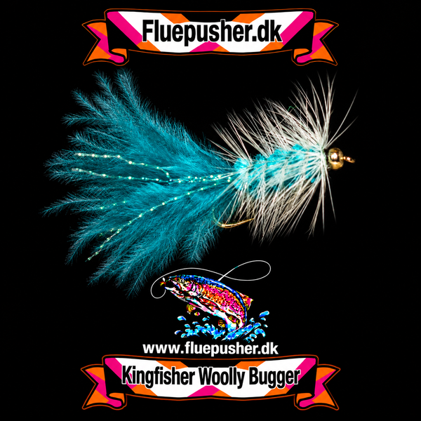 Grizzly blue woollybugger på Kingfisher-baggrund