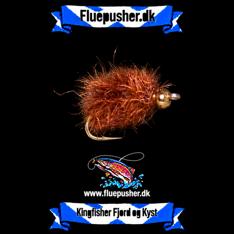 Kobberbasse variant med guldhoved