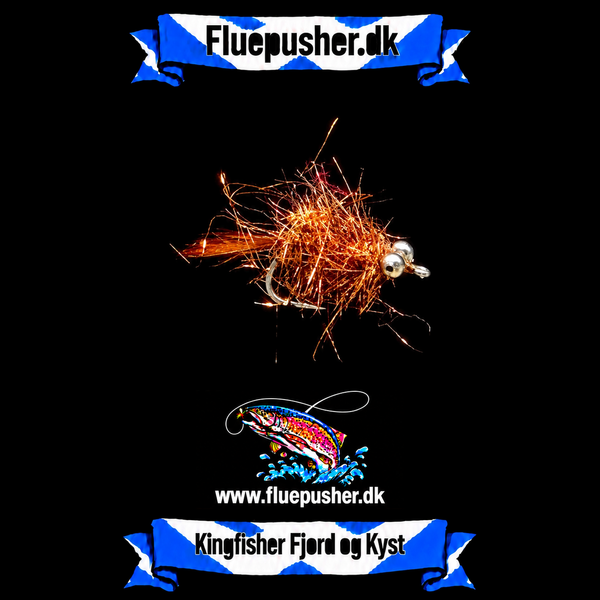 Kobberbassen med kædeøjne – Kingfisher Fjord og Kyst