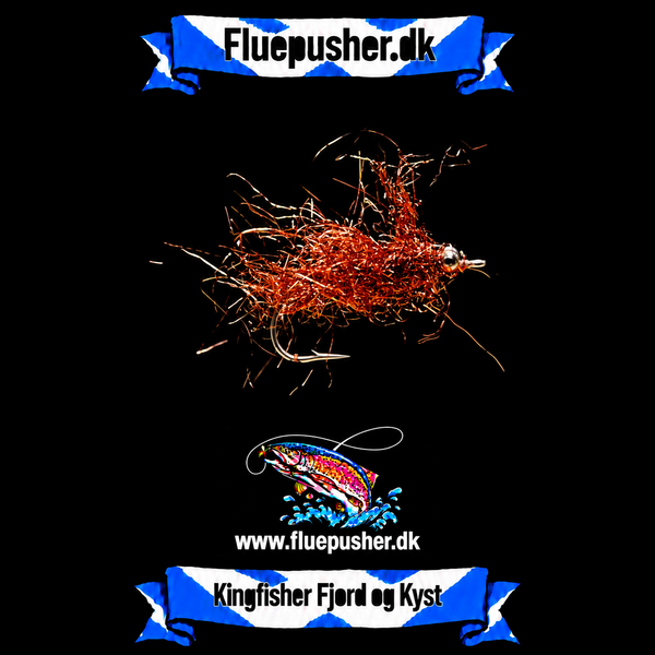 Kobberbassen – Kingfisher Fjord og Kyst