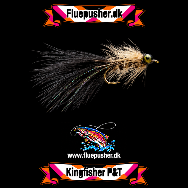 Black grizzly – Kingfisher P&T