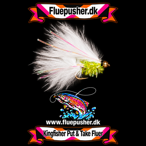 Lime Fritz cats whisker