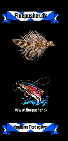 Kingfisher Fjord og Kyst – Magnus Mini
