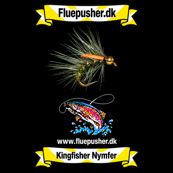 Olive Snatcher – Kingfisher Nymfer