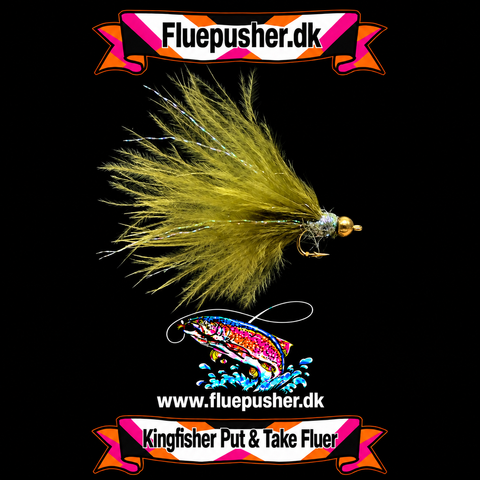 Oliven mini cats græker wide gap uv