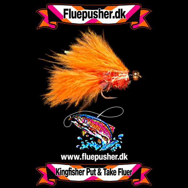 Orange Fritz cats whisker