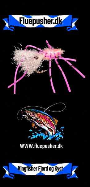 Kingfisher Fjord og Kyst – Pink Legged Shrimp – produktbillede