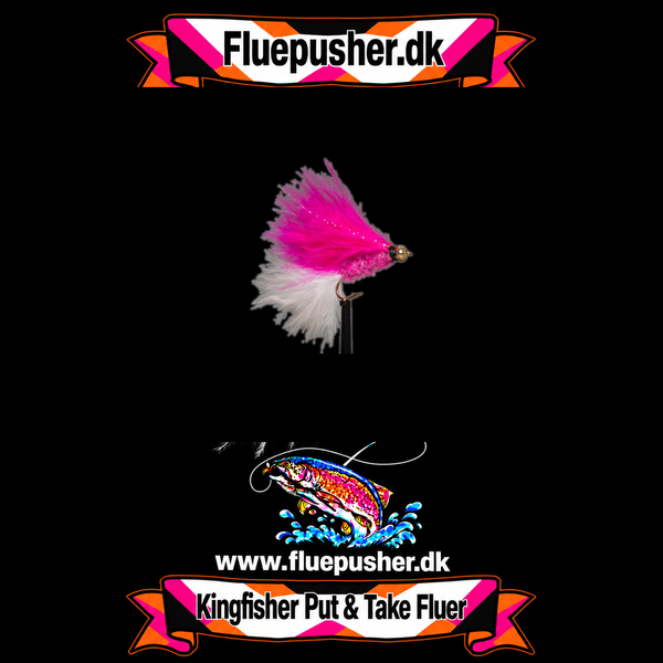 Pink white tail cats whisker