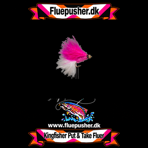 Pink white tail cats whisker