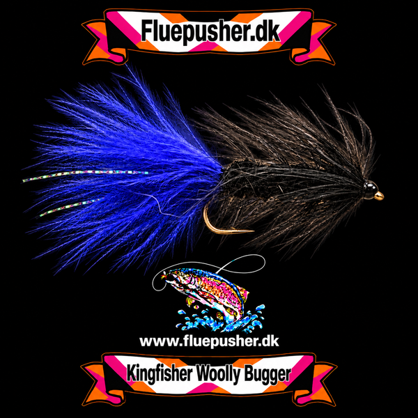 Purple tail woolly bugger – Kingfisher Woolly Bugger