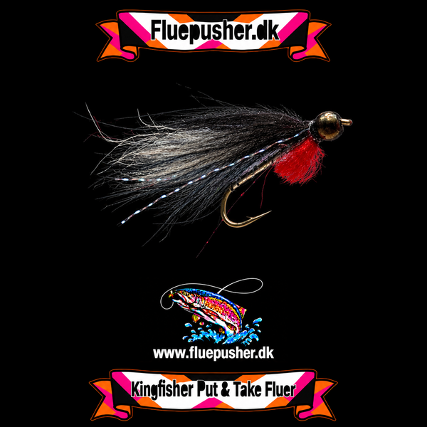 Pusher fly grey