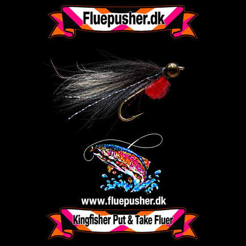 Pusher fly grey