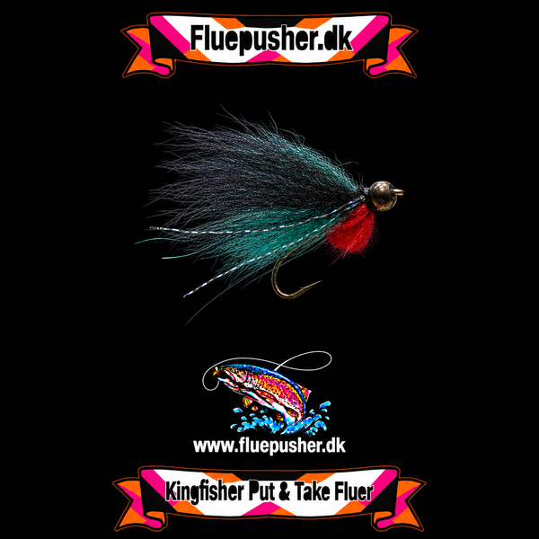 Pusher fly turkis