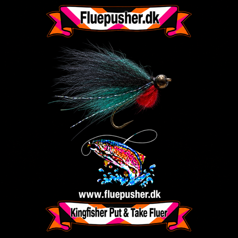 Pusher fly turkis