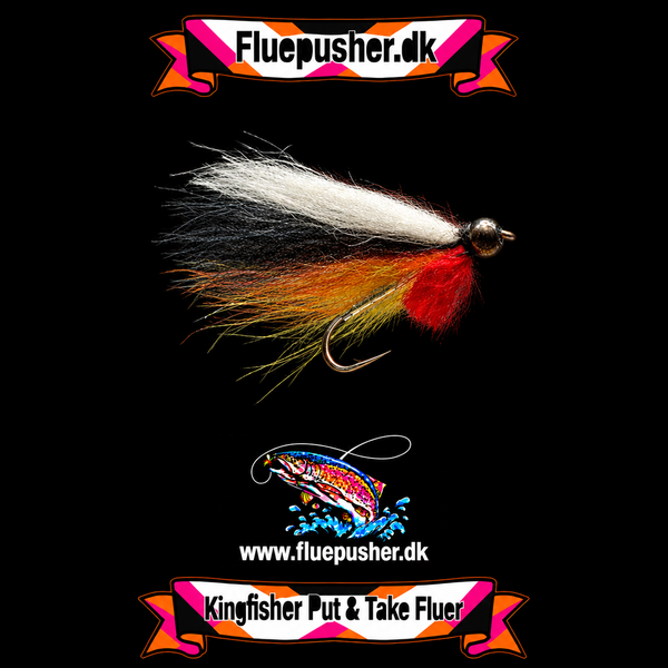 Pusher fly yellow