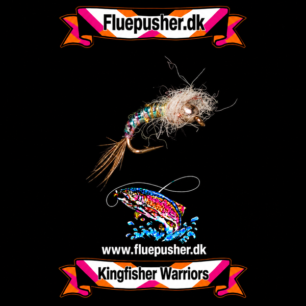 Rainbow warrior gh