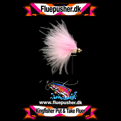 Rosa cats whisker stinger