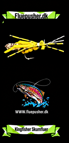 Schaum 22