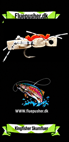 Schaum 26