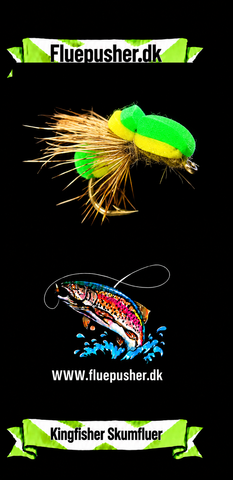 Schaum 28