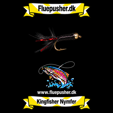 Stalking black bug gh UV