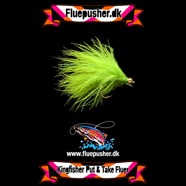 Cirkusfluen Olive nyheder