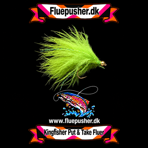 Cirkusfluen Olive nyheder