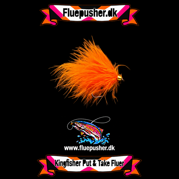 Cirkusfluen Orange