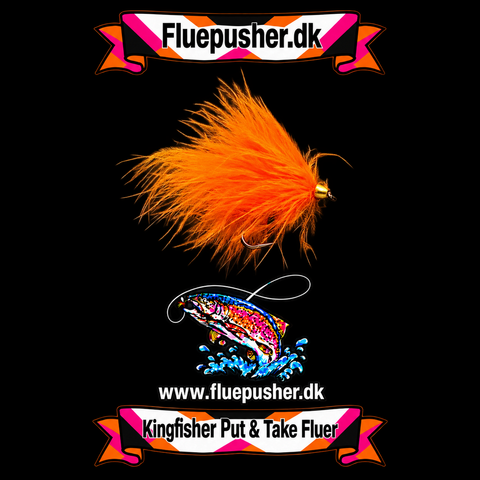 Cirkusfluen Orange