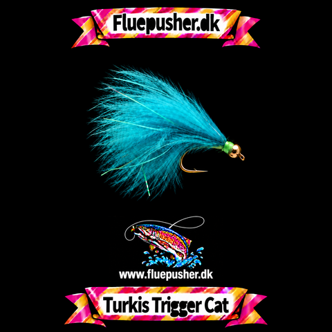 Turkis Trigger Cat