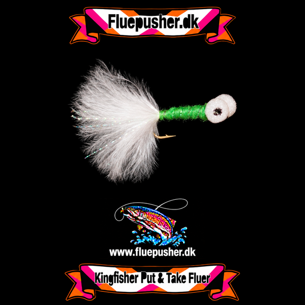 White tail mint boobie