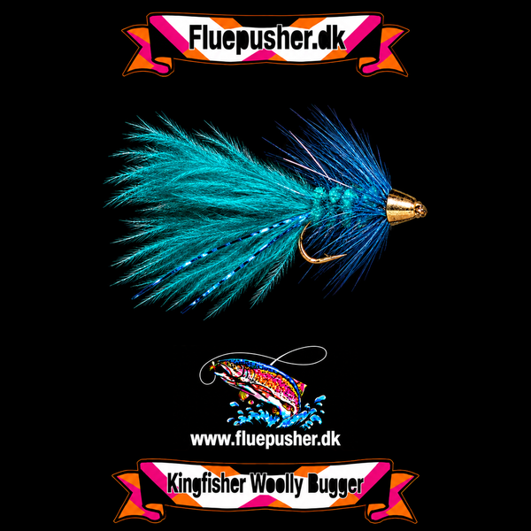 Blue conehead woolly bugger – Kingfisher Woolly Bugger