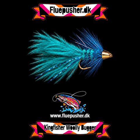 Blue conehead woolly bugger