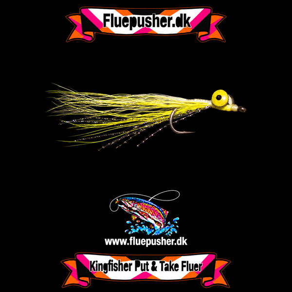 Yellow deep minnow